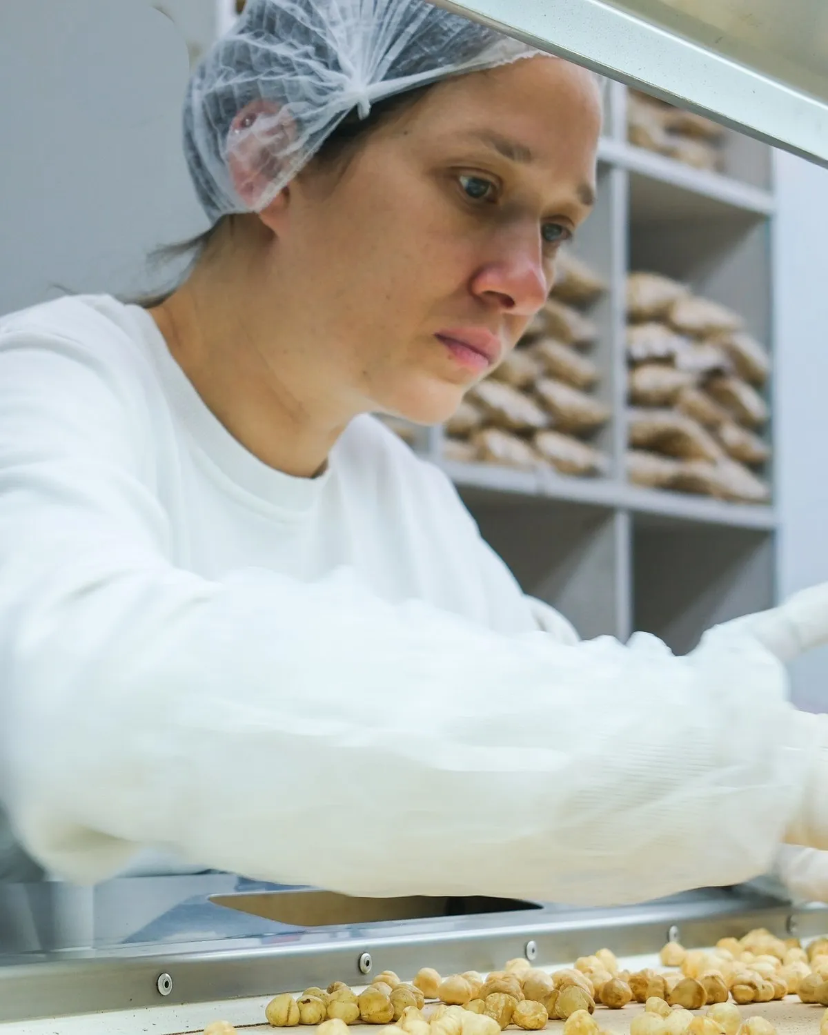 Dr. Yasemin Kuruca checking hazelnut kernels on a production line